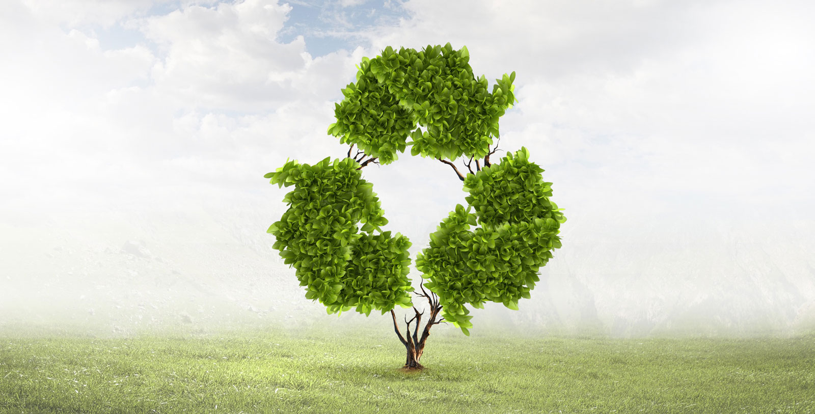 Graphic for Recycling in Morgan County Ohio