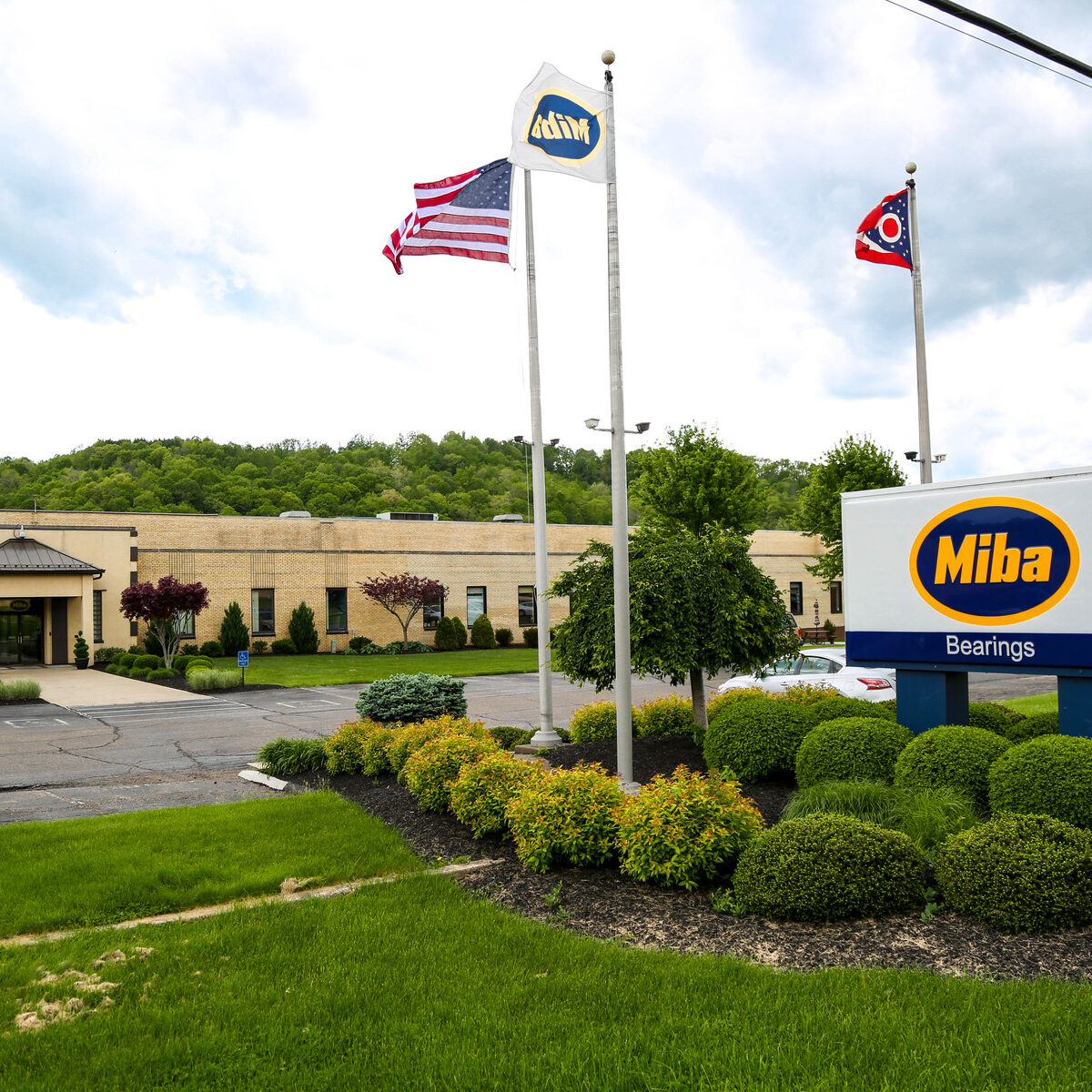 Miba Bearings